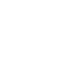 Neural Network Development